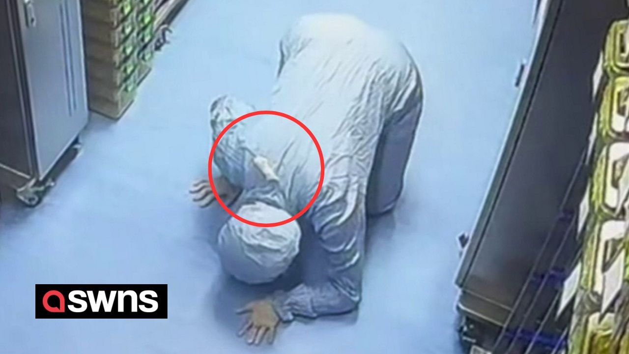 Heimtückische Labormaus entkommt dem Fang, indem sie auf die Schulter des Laboranten klettert