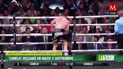 ¿Cuándo pelea Saúl 'Canelo' Álvarez? Conoce fecha y próximo rival