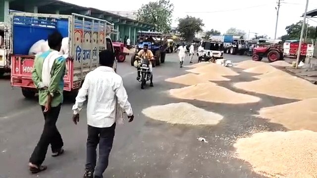 कृषि मंडी में रबी जिंसों की आवक बढ़ी