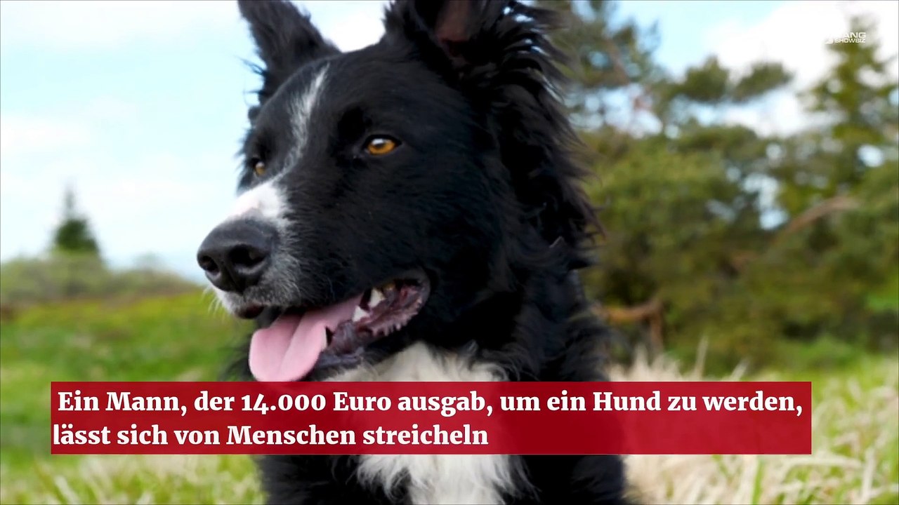 Ein Mann, der 14.000 Euro ausgab, um ein Hund zu werden, lässt sich von Menschen streicheln
