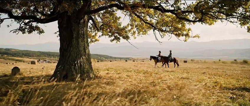 La bande-annonce de Rambo 5. Sylvester Stallone a désigné son successeur.