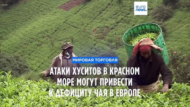 Атаки хуситов в Красном море могут привести к дефициту чая в Европе
