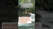 Sucuri gigante impressiona turistas em cachoeira de Bonito (MS) #shorts