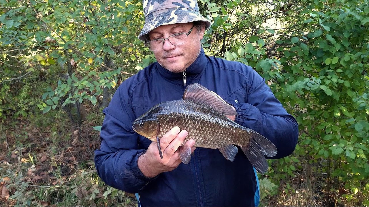 Fishing for Karakuda (Carassius) 1.085kg. Bulgaria - video Dailymotion