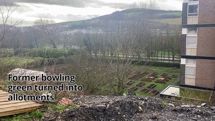 Former bowling green turned into allotments