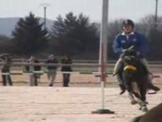 Slalom - 30/03/08 - Cadet 1