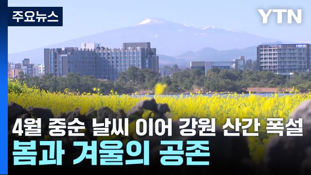 [날씨] 4월 중순 날씨 이어 강원 산간 폭설...봄과 겨울의 공존 / YTN