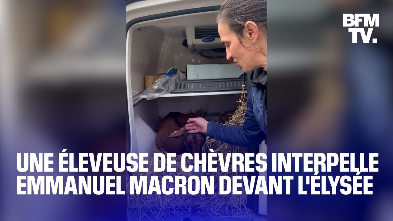 "Je ne me relèverai pas de voir toutes mes chèvres partir"   Cette éleveuse de l'Indre, en difficultés financières, s'est déplacée jusqu'à l'Élysée pour appeler à l'aide