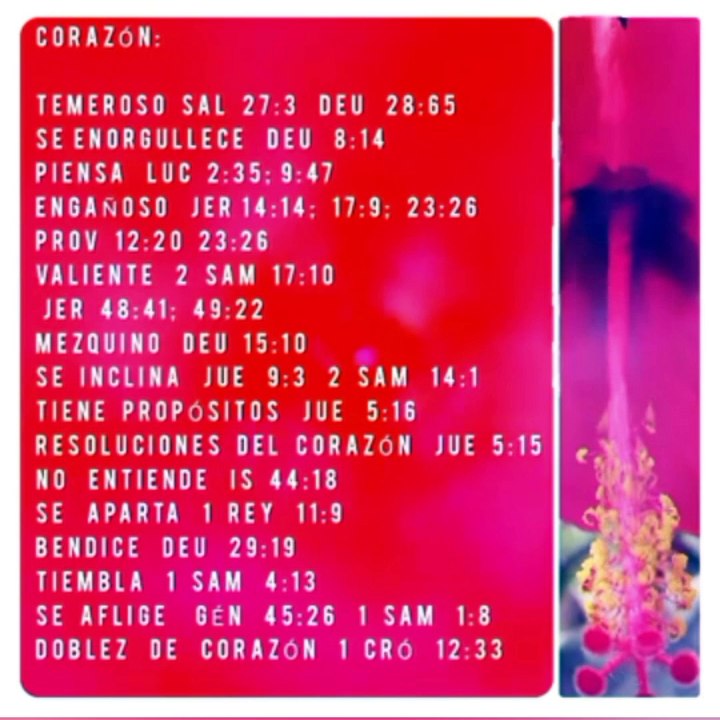 LOS DESIGNIOS DEL CORAZÓN