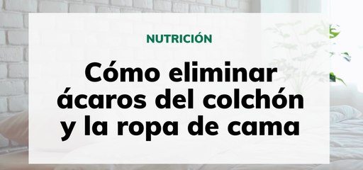Cómo eliminar los ácaros del colchón