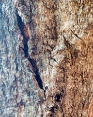 |HABIB ARIEL CORIAT HARRAR | CIBERACOSO: CICATRICES EMOCIONALES QUE NO SE BORRAN (PARTE 2) (@HABIBARIELC)