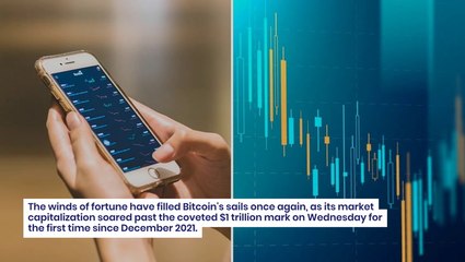 Bitcoin Back Above $1 Trillion Market Cap: Crypto Experts Weigh In On What's Ahead