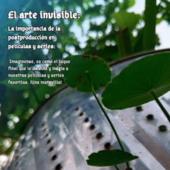 Moises Shemaria Capuano| Estos procesos son fundamentales (parte 2)