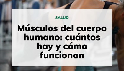 Músculos del cuerpo humano: cuántos hay y cómo funcionan