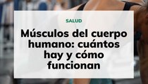 Músculos del cuerpo humano: cuántos hay y cómo funcionan