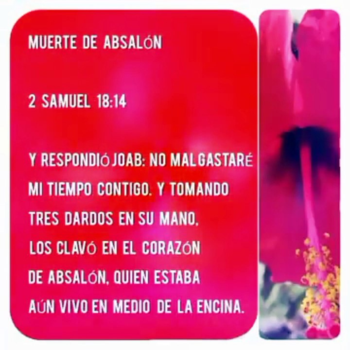 LOS DESIGNIOS DEL CORAZÓN 2