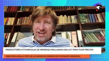 Producción de uva en Mendoza piden modificar la actual ley y fijar precios mínimos