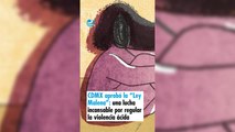 CDMX aprobó la “Ley Malena”: una lucha incansable por nombrar y regular la violencia ácida