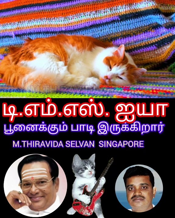 டிஎம்எஸ் ஐயா பூனைக்கும் பாடி இருக்கிறார் SINGAPORE TMS FANS M.THIRAVIDA SELVAN SINGAPORE