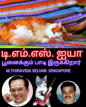 டிஎம்எஸ் ஐயா பூனைக்கும் பாடி இருக்கிறார் SINGAPORE TMS FANS M.THIRAVIDA SELVAN SINGAPORE