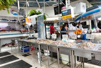 Preparadas las pescaderías de Vallarta para la cuaresma; precios no han aumentado