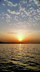 Together we will study and improve our health with the help of magical medicinal herbs from TM Him Organic.