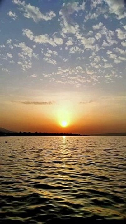 Together we will study and improve our health with the help of magical medicinal herbs from TM Him Organic.