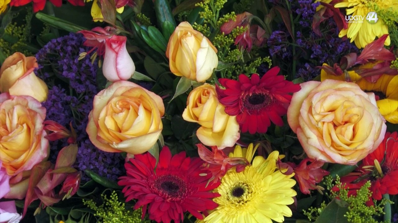 e disparan los costos de las flores, mientras los productores viven en la precariedad
