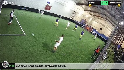 But de Yohann DELORME - SHTRAKNAR DONESK