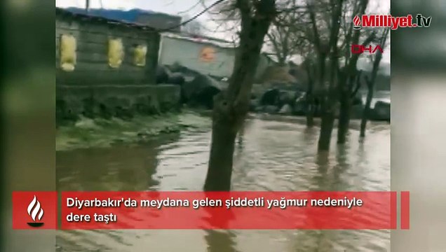 Diyarbakır'da sağanak sonucu dere taştı! Evler, ahırlar sular altında kaldı