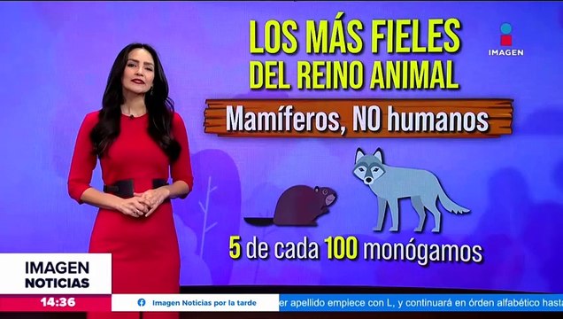 Esto contaminan los regalos del Día del Amor y la Amistad