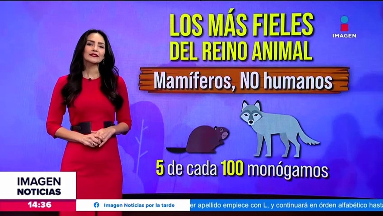Esto contaminan los regalos del Día del Amor y la Amistad
