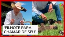Governador de Goiás é criticado após anunciar sorteio de filhotes de cachorro para seguidores