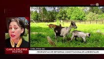 Propuestas de reformas constitucionales ambientales: Carla Delfina Aceves