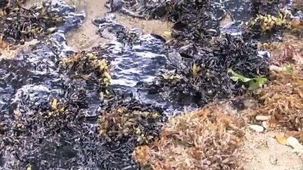 TWO VESSELS INVOLVED IN OIL SPILL