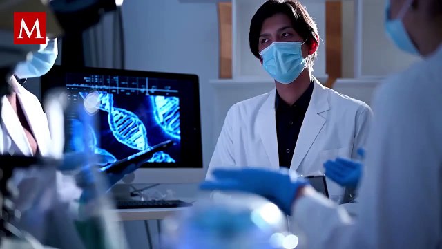 Científicos japoneses crean cerdos modificados para trasplantes por escasez de donantes