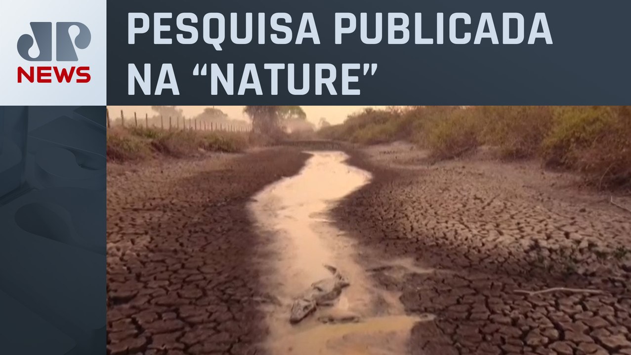Estudo aponta que estrago na Amazônia pode cheg...