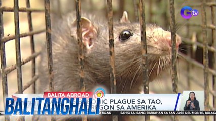 Kaso ng bubonic plague sa tao, naitala sa Oregon sa Amerika | BT