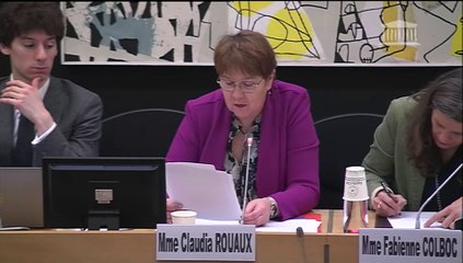 Commission des affaires culturelles : Renforcer la protection des mineurs et l’honorabilité dans le sport - Mercredi 14 février 2024