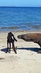 I didn't expect there to be resistance either guys