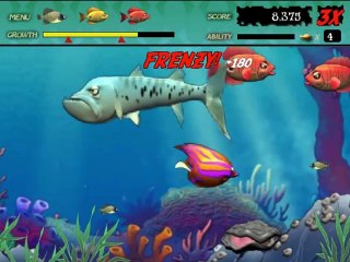 Feeding Frenzy - Stage 6&7