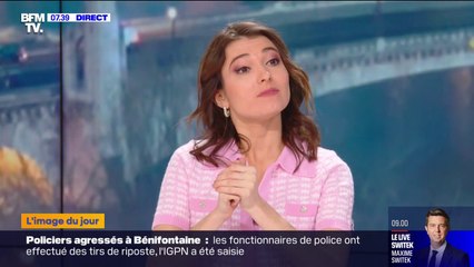 Dans l'Hérault, un passionné de paléontologie découvre un os de dinosaure en promenant son chien