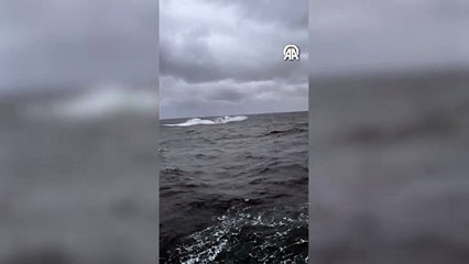 Marmara Denizi'nde kargo gemisi battı: 6 kişilik mürettebat aranıyor