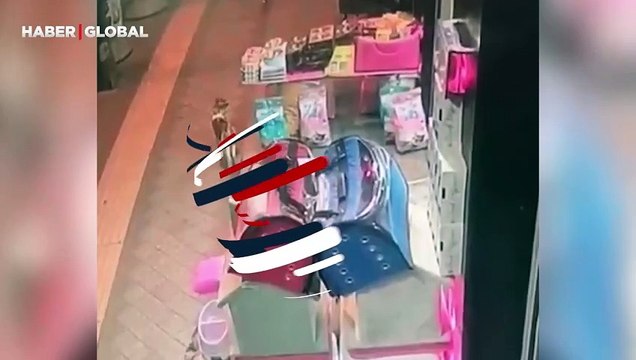 Yanlışlıkla çarptığı kediden özür dileyen adamın görüntüleri izlenme rekoru kırdı