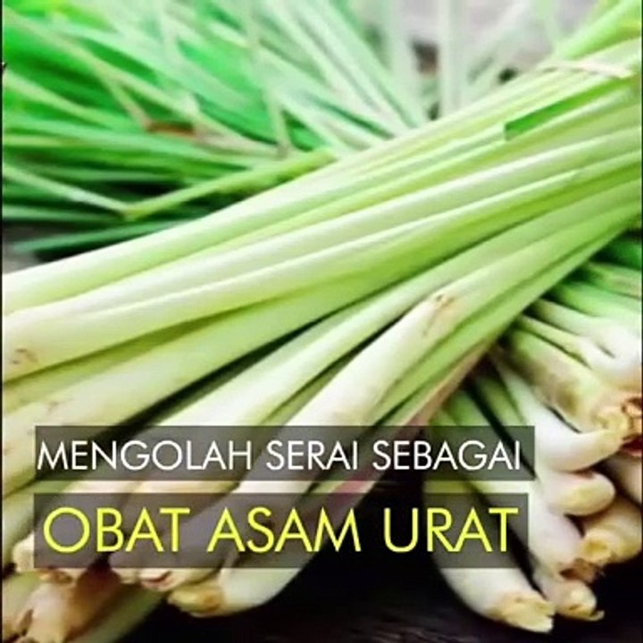 SnapTik_App_7237431271763217670  ramuan asam urat