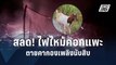 สลด! ไฟไหม้คอกแพะ ถูกไฟคลอกตายคากองเพลิงนับสิบ  | PPTV Online