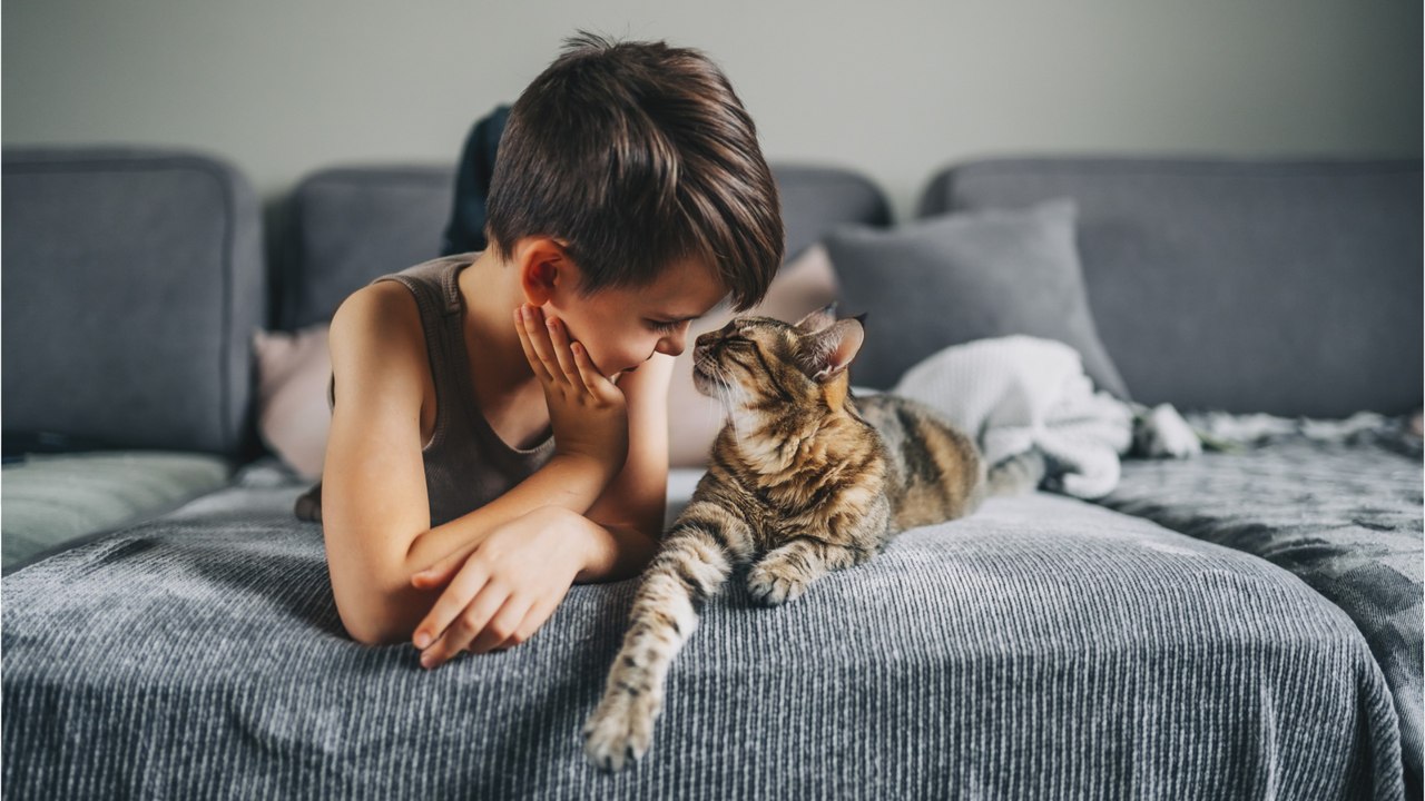 Katzen- & Menschenjahre: Wie alt ist Ihre Katze wirklich?