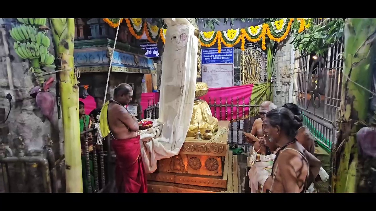 மாசி பெருவிழா பிரமோற்சவம்; திருத்தணியில் அரோகரோ கோஷம் முழங்க கொடியேற்றத்துடன் தொடக்கம்