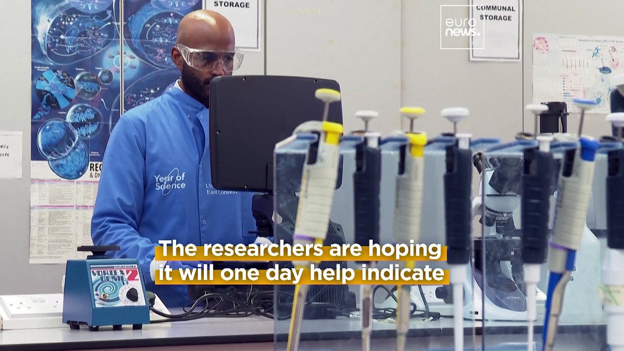 These lab-grown hearts made from human stem cells are used to train AI to detect heart diseases