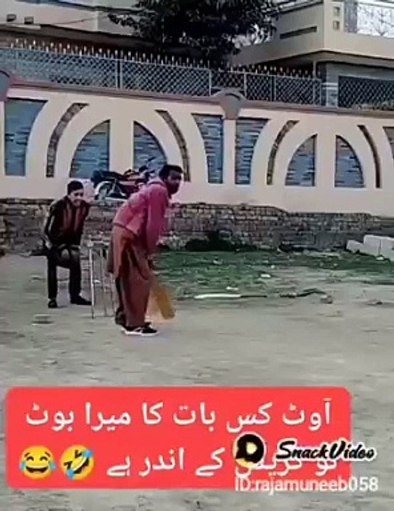 Cricket